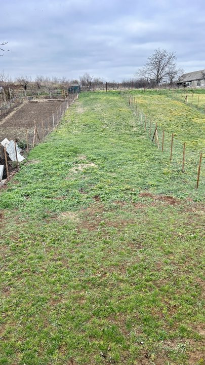 Comision 0% Duplex 3 camere si teren generos - localitatea Cornesti 14, foxfort.ro