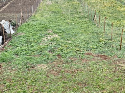 Comision 0% Duplex 3 camere si teren generos - localitatea Cornesti imagine mica 14, foxfort.ro