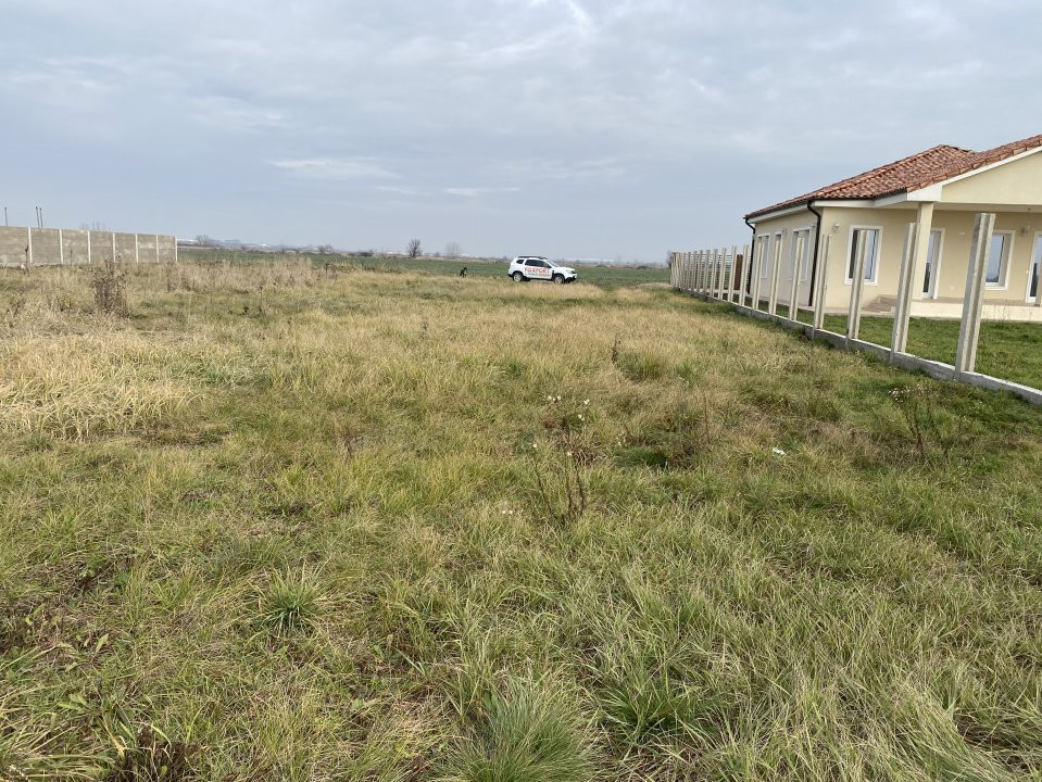 COMISION 0% Teren intravilan de vanzare 687 mp in Sacalaz  2, foxfort.ro