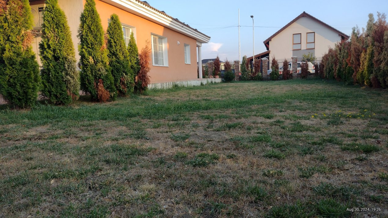 Casa individuala 5 camere, Sacalaz - Arhitectura mediteraneana 11, foxfort.ro