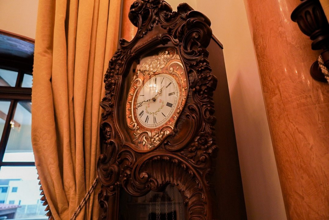 Proprietate unicata in stil clasic in Mosnita Noua - ID V7206 2, foxfort.ro