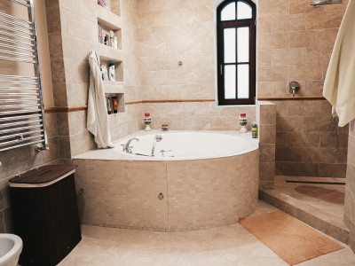 Proprietate unicata in stil clasic in Mosnita Noua - ID V7206 imagine mica 16, foxfort.ro