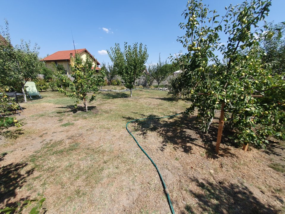 COMISION 0% Casa individuala cu 5 camere si teren de 1222 mp, Jebel 52, foxfort.ro