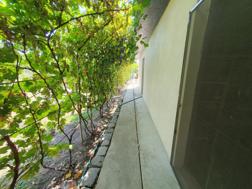 COMISION 0% Casa individuala cu 5 camere si teren de 1222 mp, Jebel 53, foxfort.ro