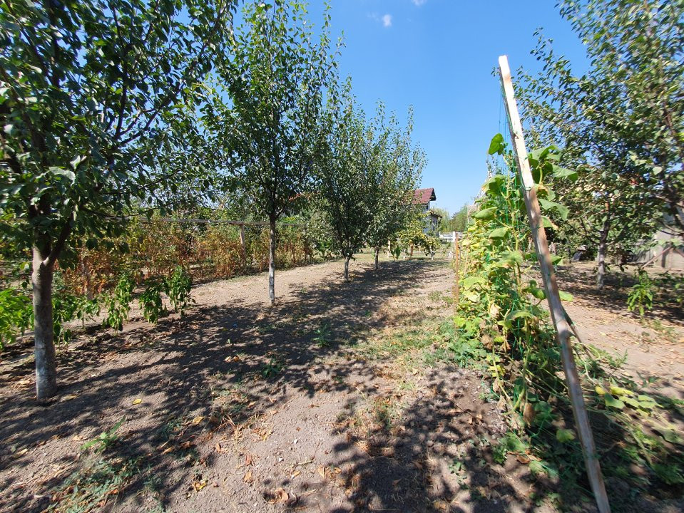 COMISION 0% Casa individuala cu 5 camere si teren de 1222 mp, Jebel 54, foxfort.ro