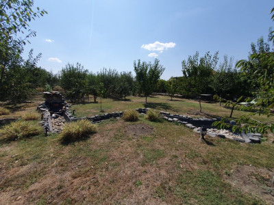 COMISION 0% Casa individuala cu 5 camere si teren de 1222 mp, Jebel imagine mica 20, foxfort.ro