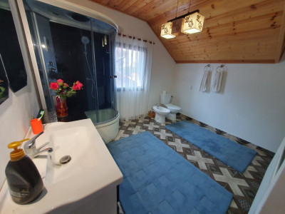 COMISION 0% Casa individuala cu 5 camere si teren de 1222 mp, Jebel imagine mica 50, foxfort.ro