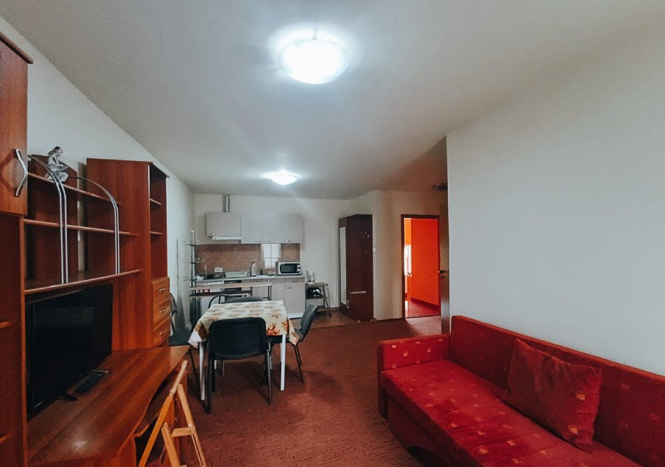 Apartamente de inchiriat Timisoara 3