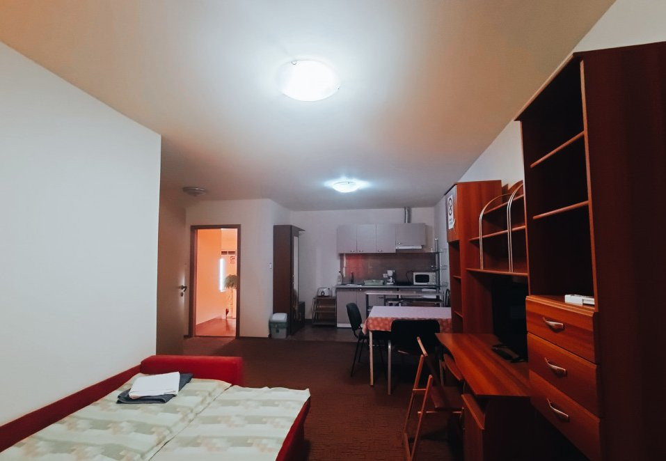 Apartamente de inchiriat Timisoara 4