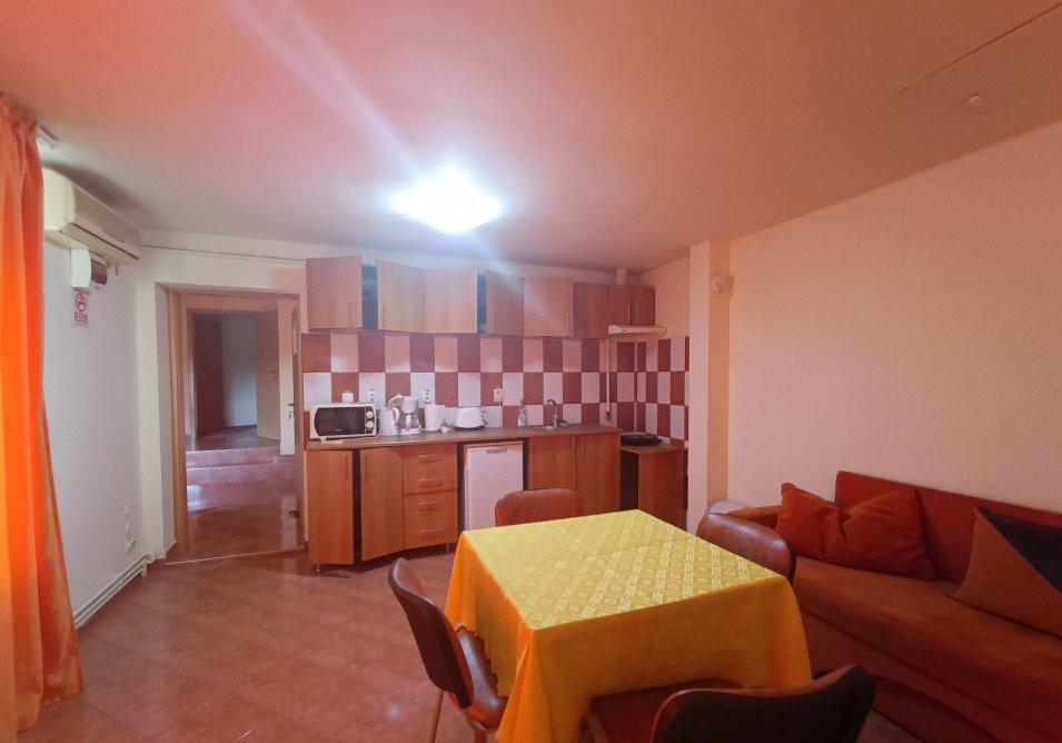 Apartamente de inchiriat Timisoara 14