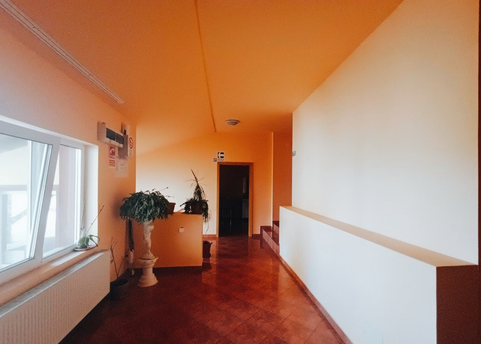 Apartamente de inchiriat Timisoara 15