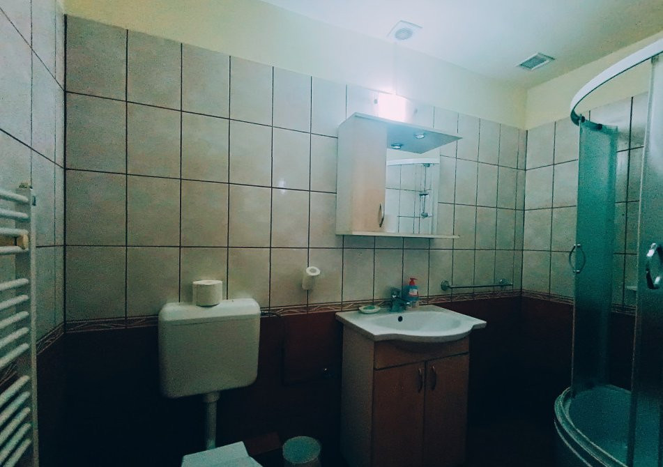 Apartamente de inchiriat Timisoara 17