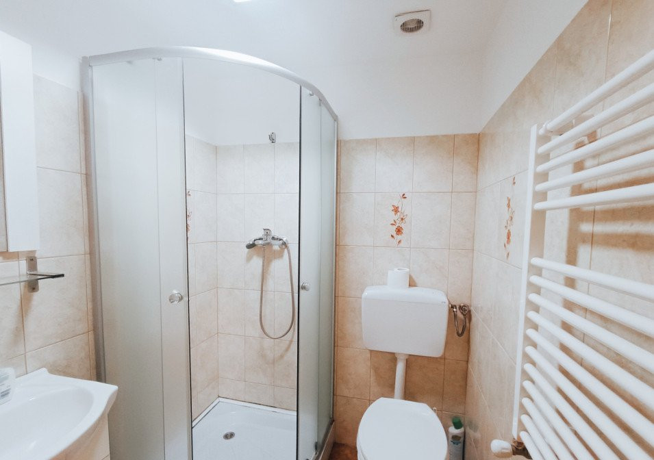 Apartamente de inchiriat Timisoara 21