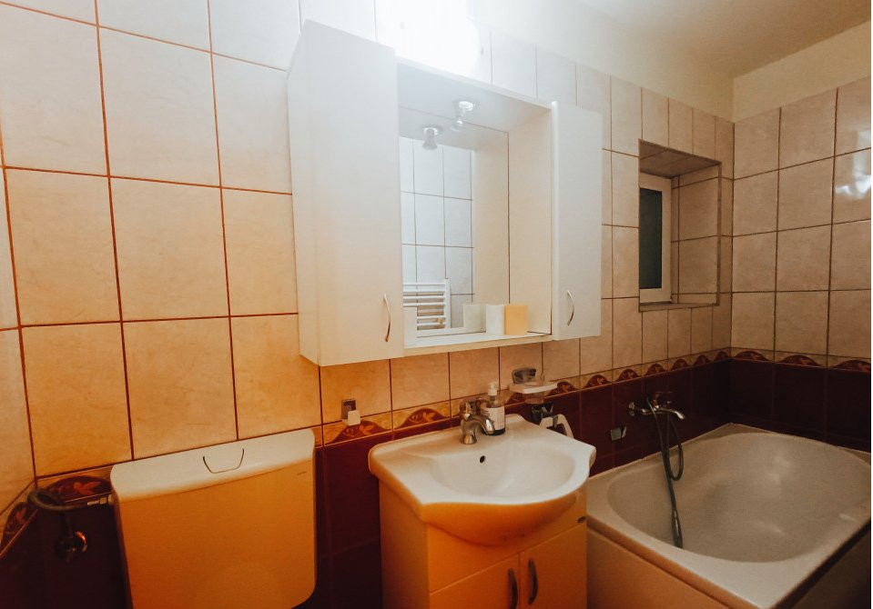 Apartamente de inchiriat Timisoara 27