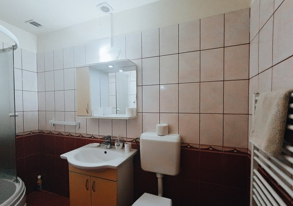 Apartamente de inchiriat Timisoara 31