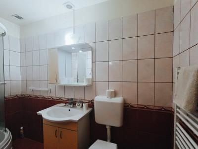 Apartamente de inchiriat Timisoara imagine mica 31