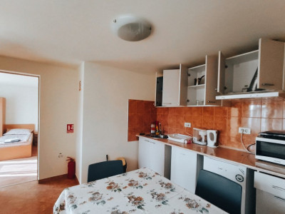 Apartamente de inchiriat Timisoara imagine mica 33