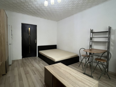 Apartamente de vanzare Timisoara Take Ionescu imagine mica 3