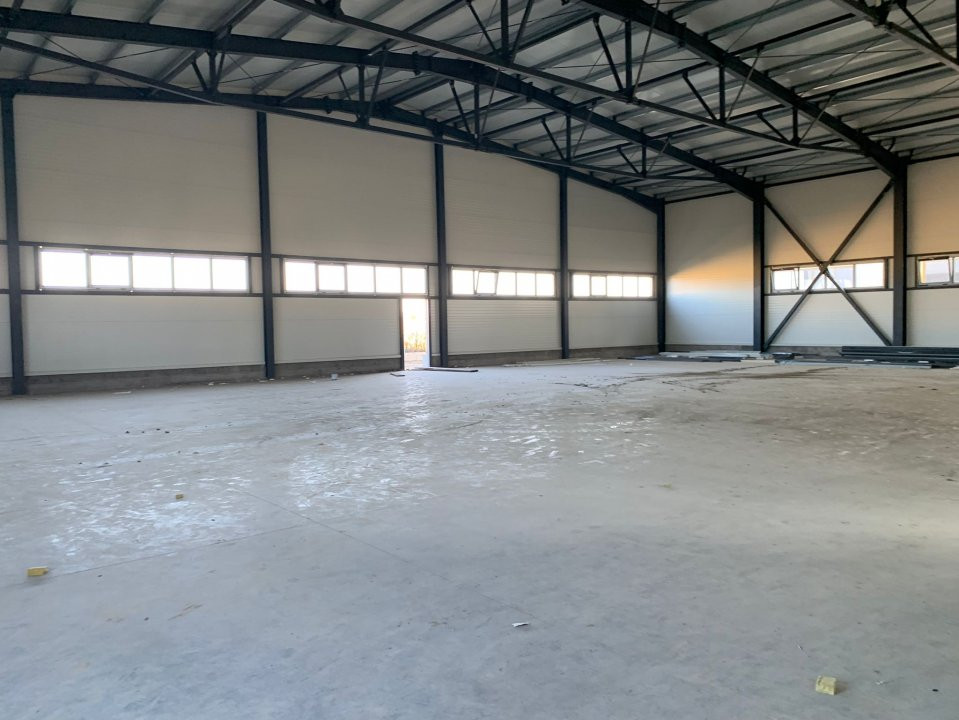 Hala industriala 600 mp, curte 1398 mp, parcare, toate utilitatile - Ghiroda 2, foxfort.ro