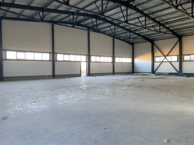 Hala industriala 600 mp, curte 1398 mp, parcare, toate utilitatile - Ghiroda imagine mica 3, foxfort.ro