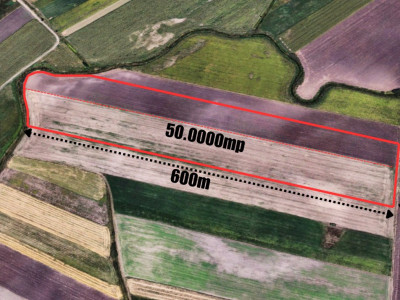 COMISION 0% Teren extravilan agricol, 5ha- Oportunitate investitie imagine mica 5, foxfort.ro