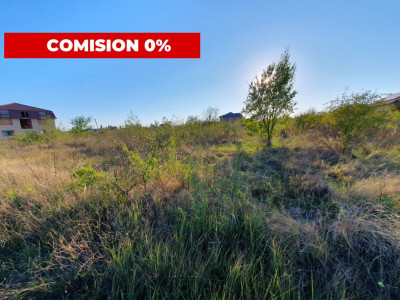 2 Parcele teren intravilan de 616 mp, total 1232 mp in Sag zona Manastire imagine mica 5, foxfort.ro