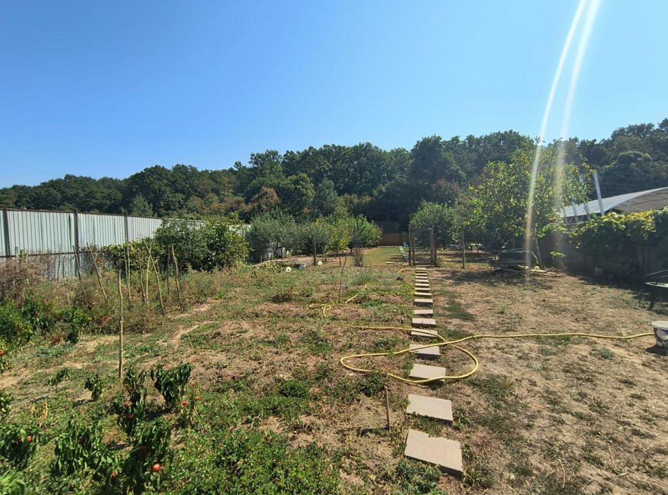 COMISION 0% Teren intravilan 1106 mp zona exclusivista Dumbravita - Padure  2, foxfort.ro