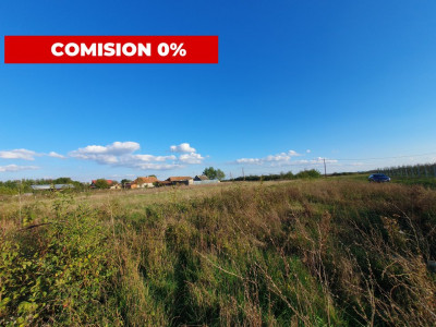 Comision 0% Teren intravilan de 3346 mp cu 2 fronturi - Jebel