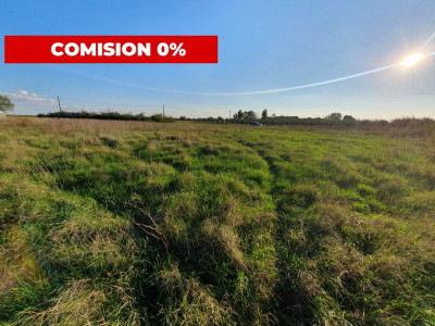 Comision 0% Teren intravilan de 3346 mp cu 2 fronturi - Jebel imagine mica 7, foxfort.ro