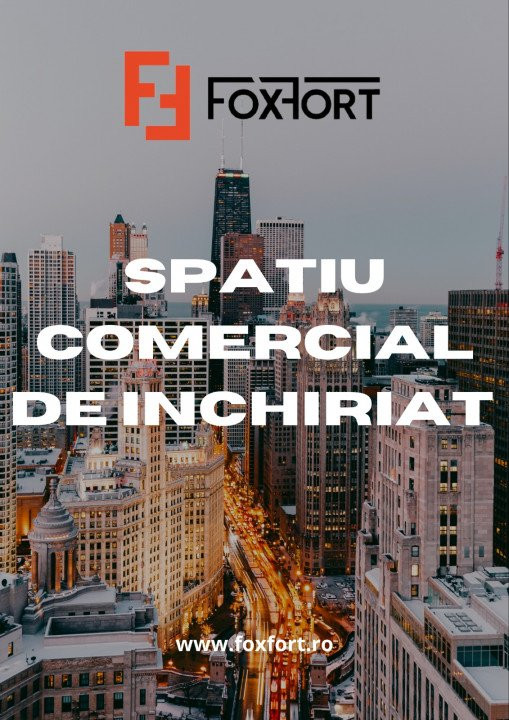 Spatii comerciale de inchiriat Timisoara 1