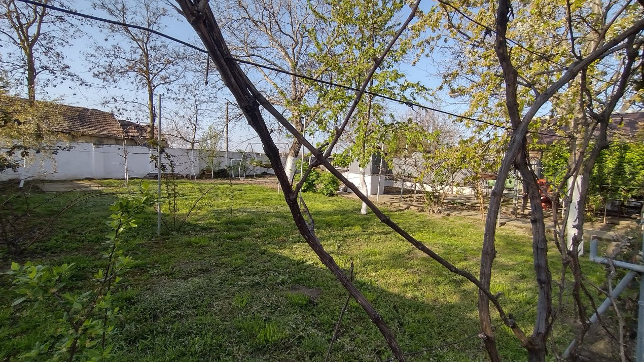 COMISION 0% Casa individuala 5 camere Checea - Gospodarie si teren 1789 mp 17, foxfort.ro