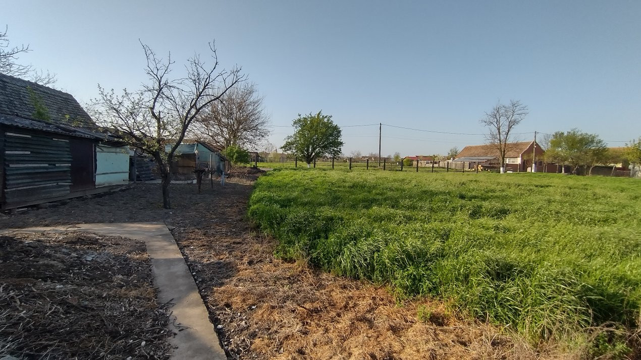 COMISION 0% Casa individuala 5 camere Checea - Gospodarie si teren 1789 mp 24, foxfort.ro