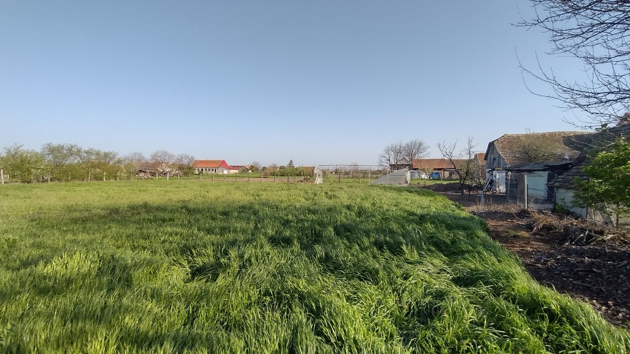 COMISION 0% Casa individuala 5 camere Checea - Gospodarie si teren 1789 mp 28, foxfort.ro