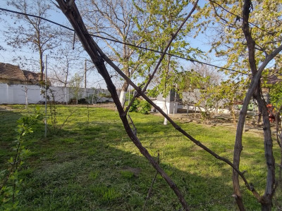 COMISION 0% Casa individuala 5 camere Checea - Gospodarie si teren 1789 mp imagine mica 17, foxfort.ro