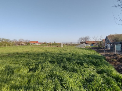 COMISION 0% Casa individuala 5 camere Checea - Gospodarie si teren 1789 mp imagine mica 28, foxfort.ro