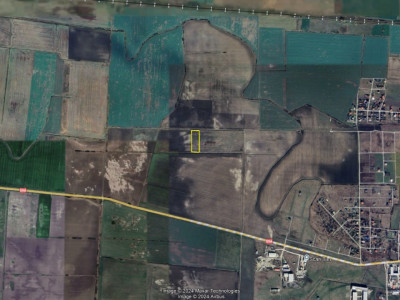 COMISION 0% Teren extravilan pretabil agricol, Sacalaz - Oportunitate investitie imagine mica 5, foxfort.ro