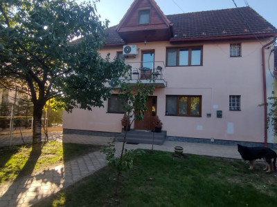 Casa individuala 7 camere, Timisoara - Zona Ronat