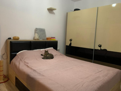 Apartament cu 3 camere, decomandat la parter, Dumbravita imagine mica 3, foxfort.ro