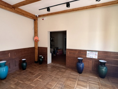 OCAZIE COMISION 0% - vanzare spatiu comercial in Timisoara, zona Iulius Mall imagine mica 2, foxfort.ro