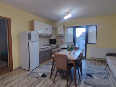 Apartament 3 camere, Zona Freidorf - Etaj 1, mobilat