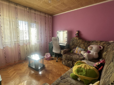 Apartamente de vanzare Timisoara Aradului imagine mica 3