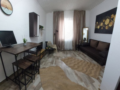 Apartamente de vanzare Timisoara Blascovici imagine mica 3