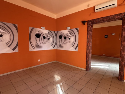 Spatiu comercial zona foarte buna, 239 mp, in Timisoara imagine mica 13, foxfort.ro