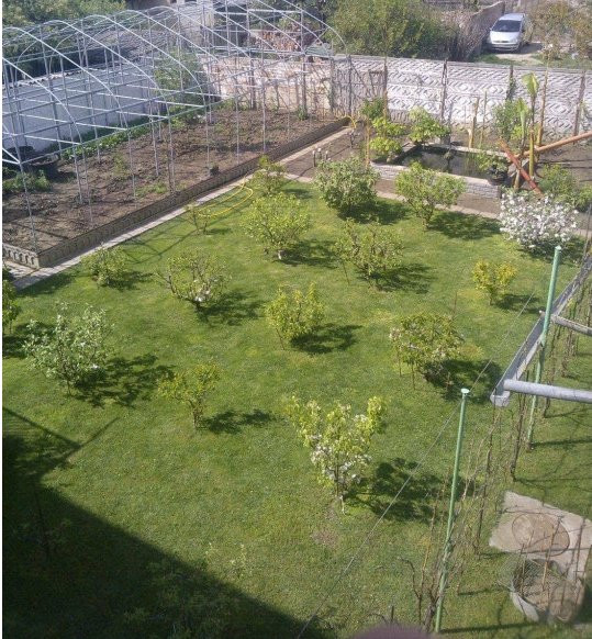 OCAZIE COMISION 0% - Vanzare Casa individuala, 530 mp, in Timisoara 9, foxfort.ro