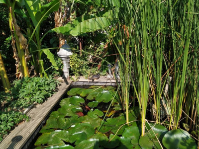 OCAZIE COMISION 0% - Vanzare Casa individuala, 530 mp, in Timisoara imagine mica 8, foxfort.ro