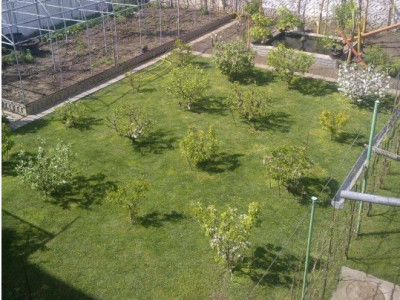 OCAZIE COMISION 0% - Vanzare Casa individuala, 530 mp, in Timisoara imagine mica 9, foxfort.ro