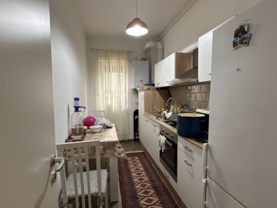 Apartament cu 2 camere SAD la parter in Timisoara, calea Buziasului imagine mica 8, foxfort.ro