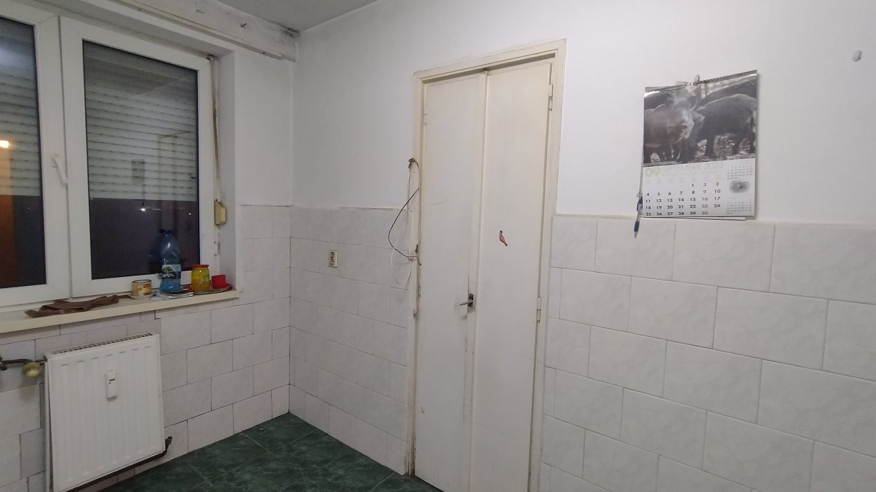 Apartamente de vanzare Timisoara 8