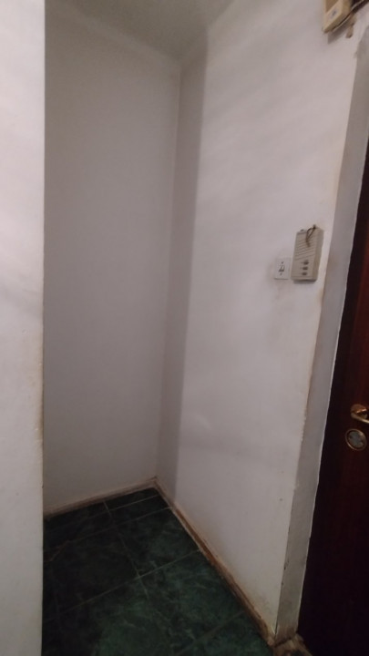 Apartamente de vanzare Timisoara 17