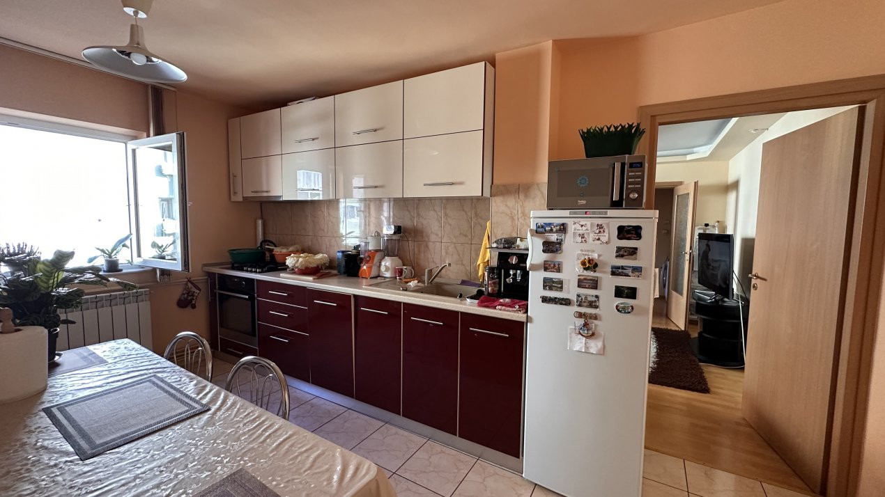 Apartamente de vanzare Timisoara Buziasului 10